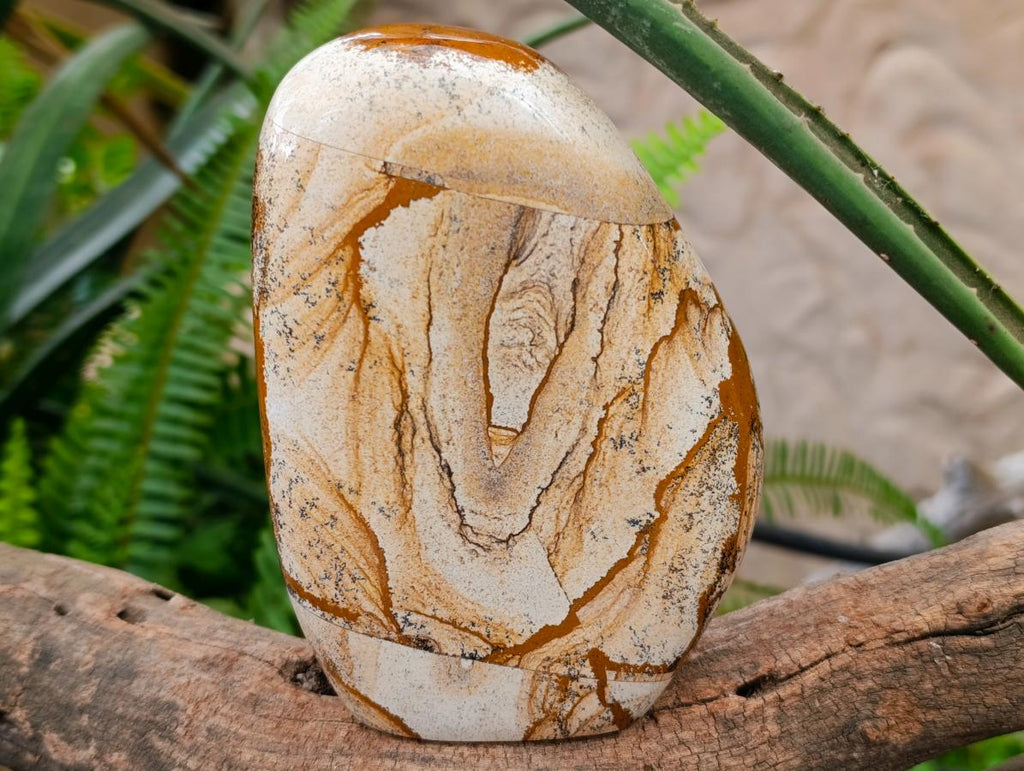 Polished Picture Stone Jasper Standing Display Pieces x 2 From Ais-Ais, Namibia - Toprock Gemstones and Minerals 