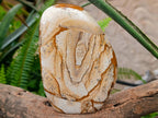 Polished Picture Stone Jasper Standing Display Pieces x 2 From Ais-Ais, Namibia - Toprock Gemstones and Minerals 