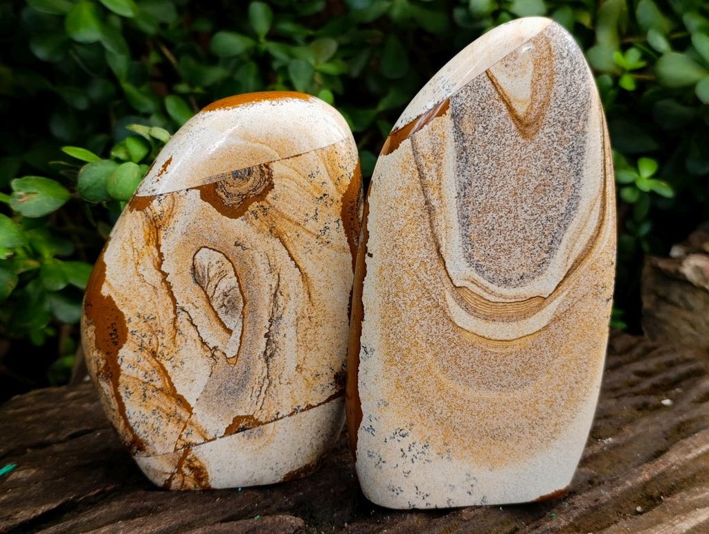 Polished Picture Stone Jasper Standing Display Pieces x 2 From Ais-Ais, Namibia - Toprock Gemstones and Minerals 