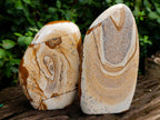 Polished Picture Stone Jasper Standing Display Pieces x 2 From Ais-Ais, Namibia - Toprock Gemstones and Minerals 