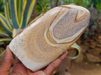 Polished Picture Stone Jasper Standing Display Pieces x 2 From Ais-Ais, Namibia - Toprock Gemstones and Minerals 