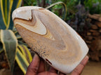 Polished Picture Stone Jasper Standing Display Pieces x 2 From Ais-Ais, Namibia - Toprock Gemstones and Minerals 