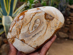 Polished Picture Stone Jasper Standing Display Pieces x 2 From Ais-Ais, Namibia - Toprock Gemstones and Minerals 