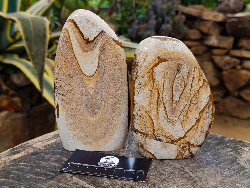 Polished Picture Stone Jasper Standing Display Pieces x 2 From Ais-Ais, Namibia - Toprock Gemstones and Minerals 