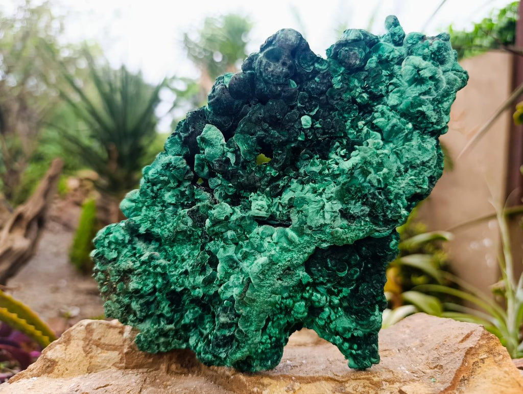 Natural XL Cabinet Silky Malachite Specimen x 1 From Kasompe, Congo - Toprock Gemstones and Minerals 