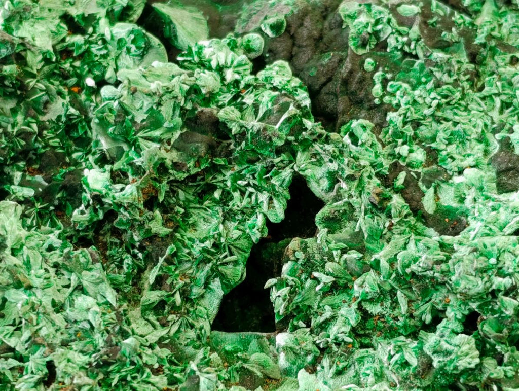 Natural XL Cabinet Silky Malachite Specimen x 1 From Kasompe, Congo - Toprock Gemstones and Minerals 