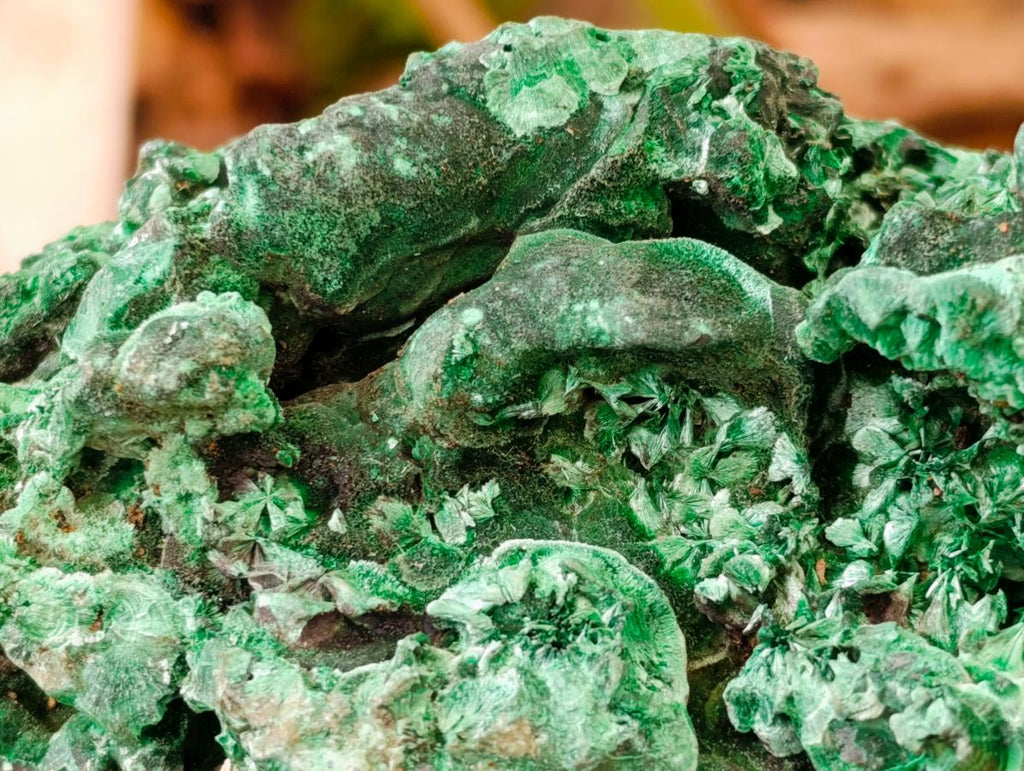 Natural XL Cabinet Silky Malachite Specimen x 1 From Kasompe, Congo - Toprock Gemstones and Minerals 