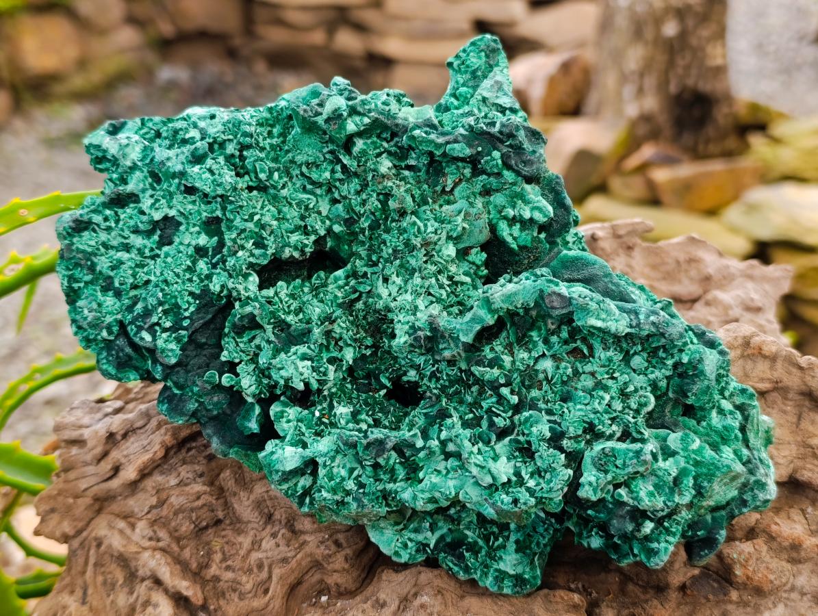 Natural XL Cabinet Silky Malachite Specimen x 1 From Kasompe, Congo - Toprock Gemstones and Minerals 