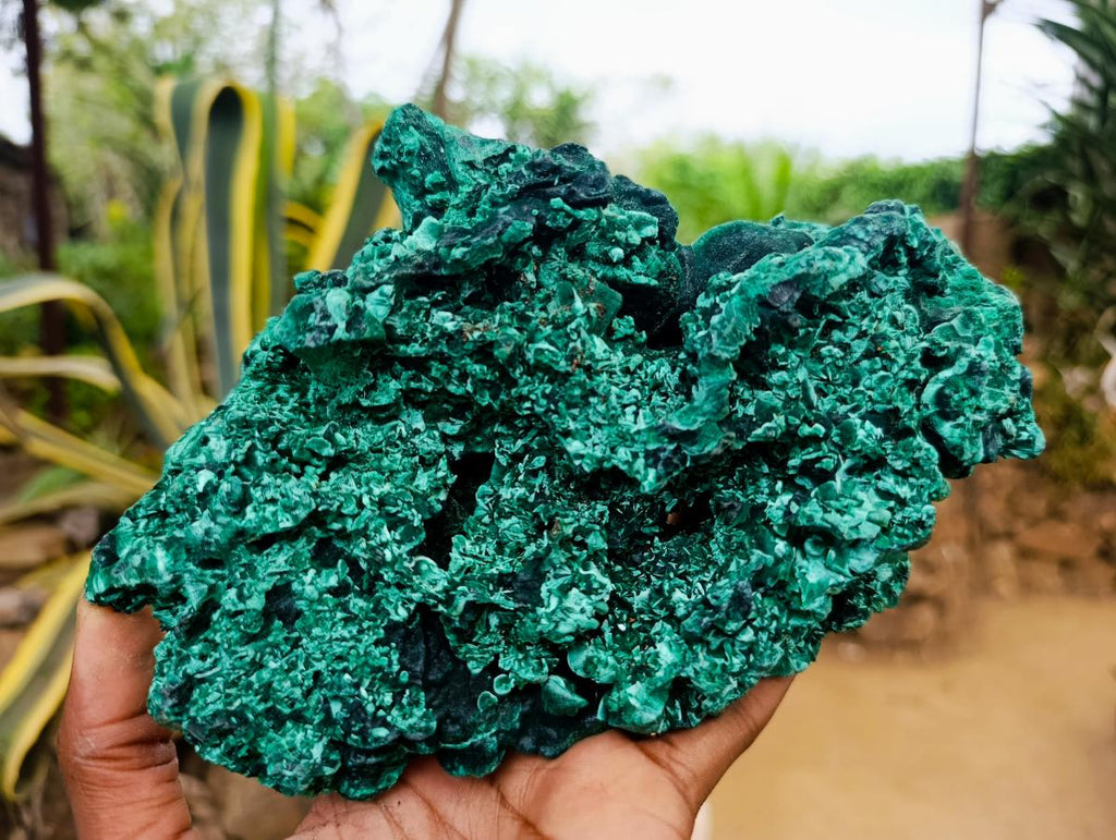 Natural XL Cabinet Silky Malachite Specimen x 1 From Kasompe, Congo - Toprock Gemstones and Minerals 