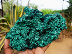 Natural XL Cabinet Silky Malachite Specimen x 1 From Kasompe, Congo - Toprock Gemstones and Minerals 