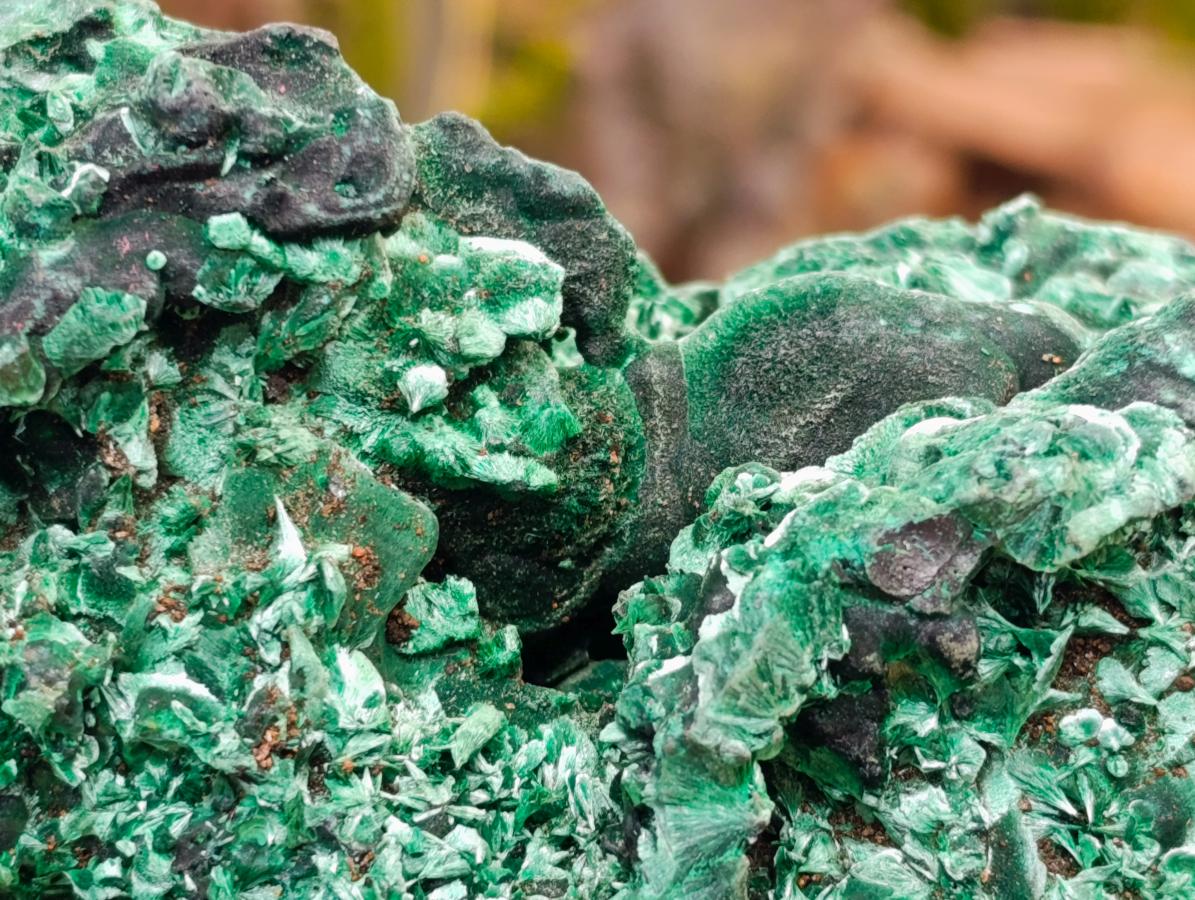 Natural XL Cabinet Silky Malachite Specimen x 1 From Kasompe, Congo - Toprock Gemstones and Minerals 