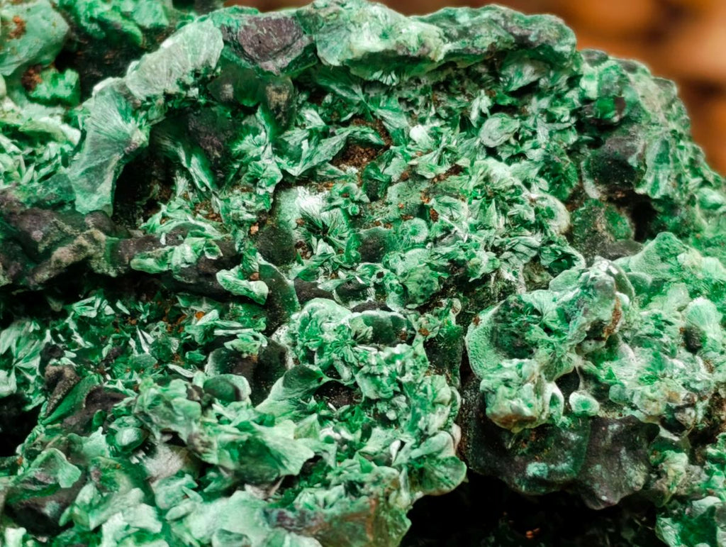 Natural XL Cabinet Silky Malachite Specimen x 1 From Kasompe, Congo - Toprock Gemstones and Minerals 