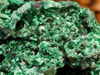 Natural XL Cabinet Silky Malachite Specimen x 1 From Kasompe, Congo - Toprock Gemstones and Minerals 