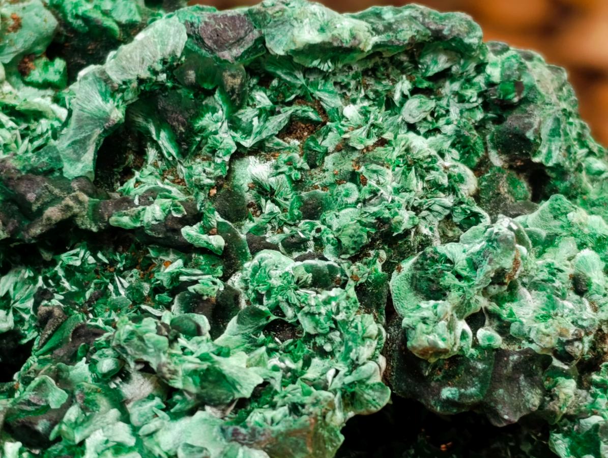 Natural XL Cabinet Silky Malachite Specimen x 1 From Kasompe, Congo - Toprock Gemstones and Minerals 