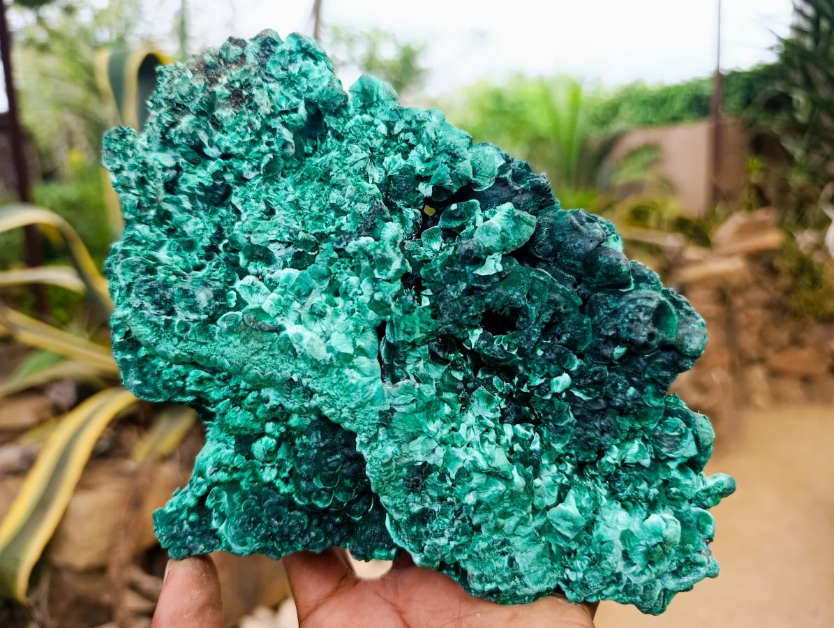 Natural XL Cabinet Silky Malachite Specimen x 1 From Kasompe, Congo - Toprock Gemstones and Minerals 