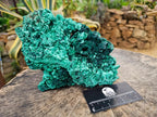 Natural XL Cabinet Silky Malachite Specimen x 1 From Kasompe, Congo - Toprock Gemstones and Minerals 
