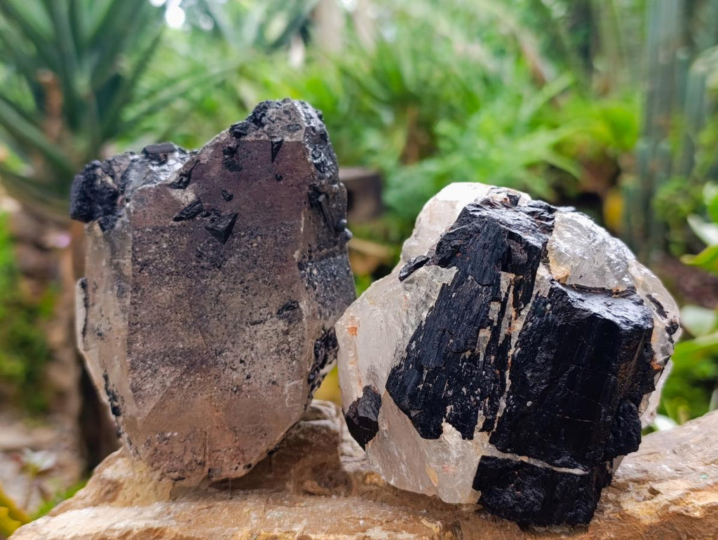 Natural Black Tourmaline In Quartz Matrix Specimens x 2 From Zimbabwe - Toprock Gemstones and Minerals 