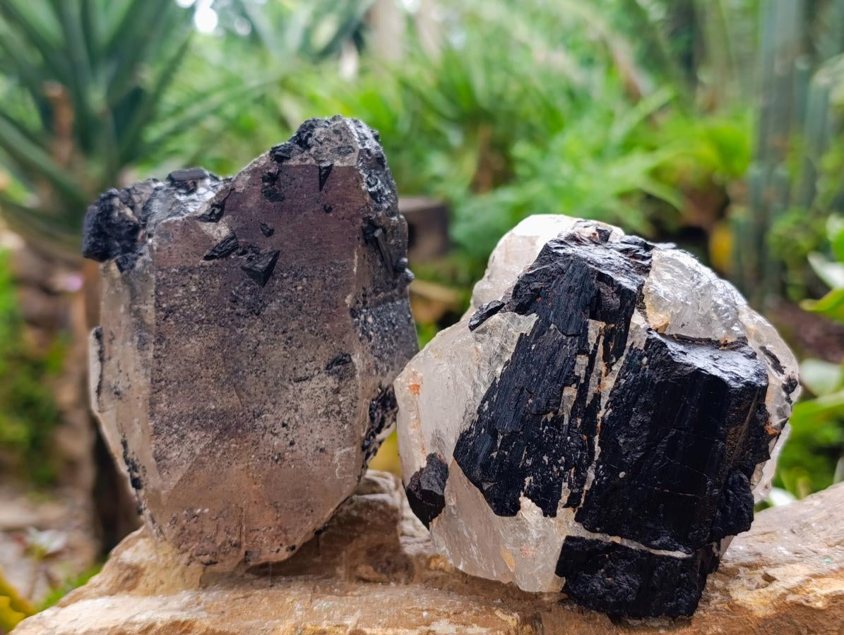 Natural Black Tourmaline In Quartz Matrix Specimens x 2 From Zimbabwe - Toprock Gemstones and Minerals 