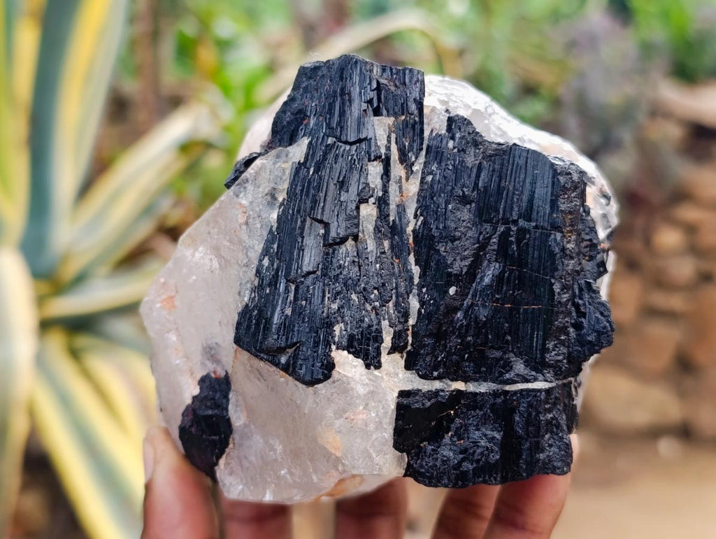 Natural Black Tourmaline In Quartz Matrix Specimens x 2 From Zimbabwe - Toprock Gemstones and Minerals 