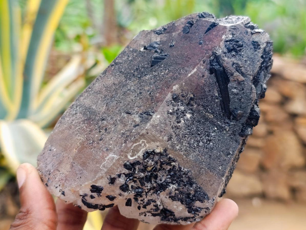 Natural Black Tourmaline In Quartz Matrix Specimens x 2 From Zimbabwe - Toprock Gemstones and Minerals 
