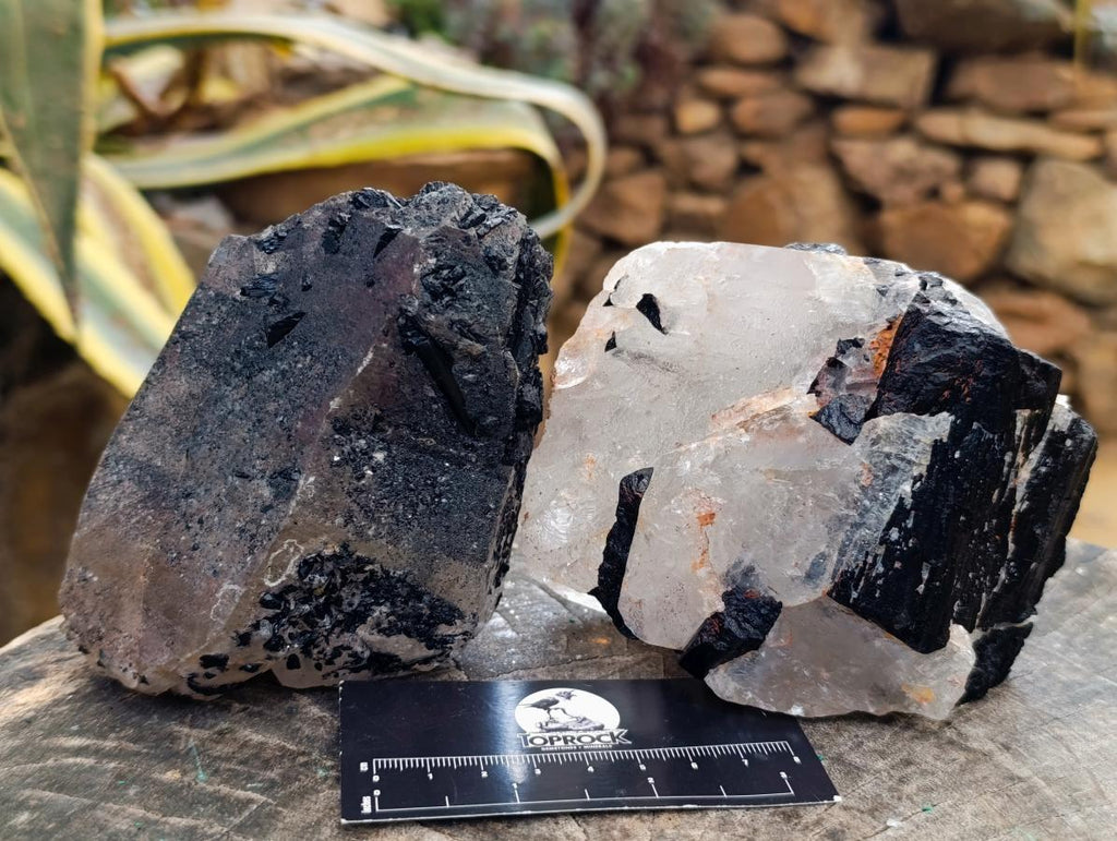 Natural Black Tourmaline In Quartz Matrix Specimens x 2 From Zimbabwe - Toprock Gemstones and Minerals 