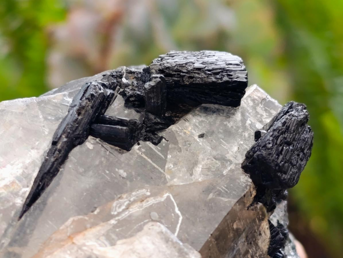 Natural Black Tourmaline In Quartz Matrix Specimens x 2 From Zimbabwe - Toprock Gemstones and Minerals 
