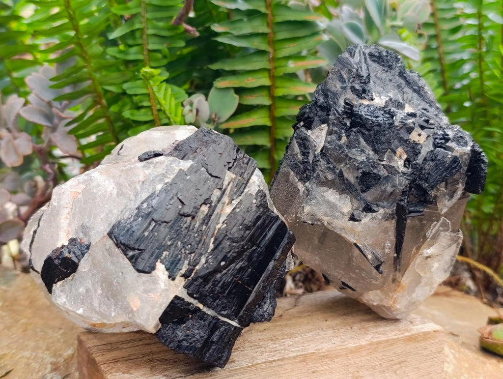 Natural Black Tourmaline In Quartz Matrix Specimens x 2 From Zimbabwe - Toprock Gemstones and Minerals 