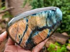 Polished Labradorite Standing Free Forms x 2 From Madagascar - Toprock Gemstones and Minerals 