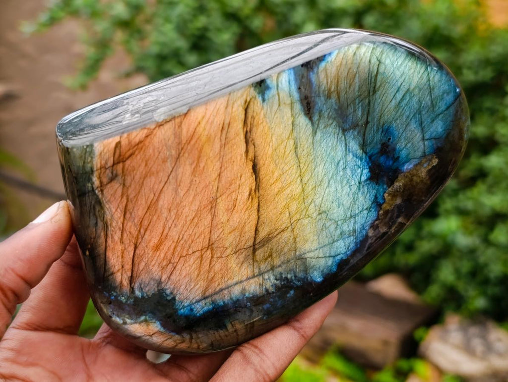 Polished Labradorite Standing Free Forms x 2 From Madagascar - Toprock Gemstones and Minerals 