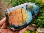 Polished Labradorite Standing Free Forms x 2 From Madagascar - Toprock Gemstones and Minerals 