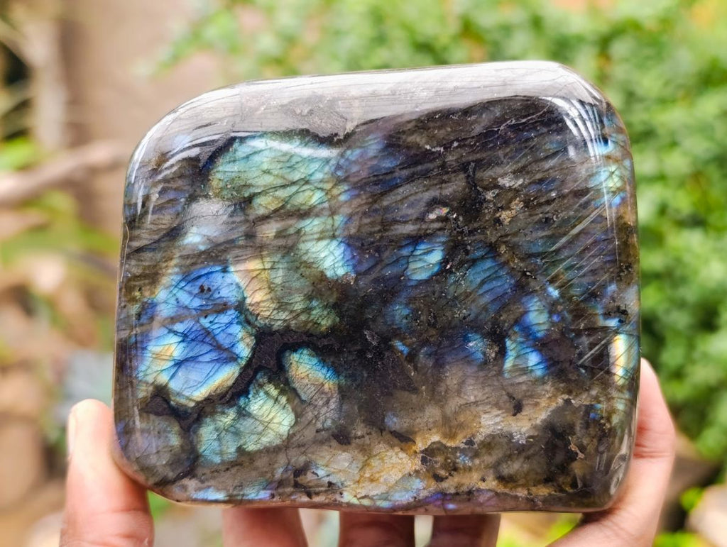 Polished Labradorite Standing Free Forms x 2 From Madagascar - Toprock Gemstones and Minerals 