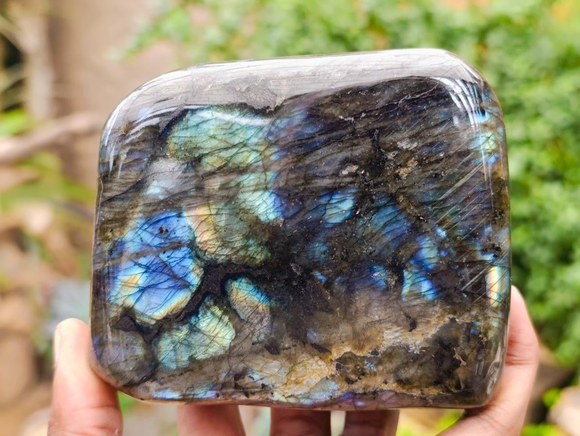 Polished Labradorite Standing Free Forms x 2 From Madagascar - Toprock Gemstones and Minerals 