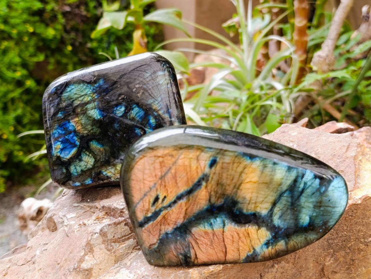 Polished Labradorite Standing Free Forms x 2 From Madagascar - Toprock Gemstones and Minerals 
