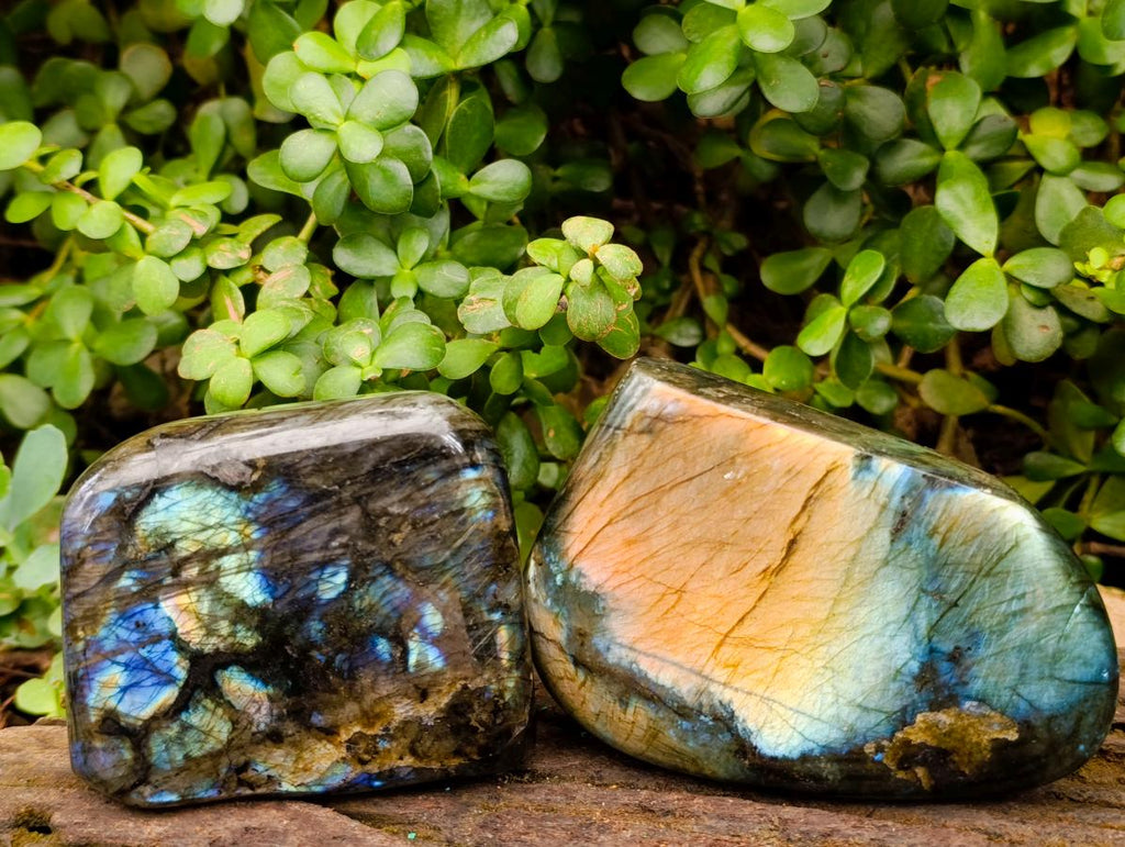 Polished Labradorite Standing Free Forms x 2 From Madagascar - Toprock Gemstones and Minerals 