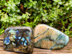 Polished Labradorite Standing Free Forms x 2 From Madagascar - Toprock Gemstones and Minerals 
