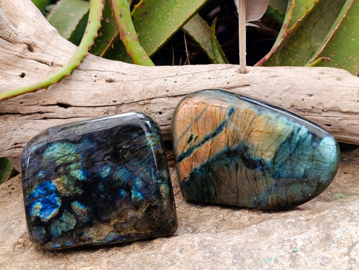 Polished Labradorite Standing Free Forms x 2 From Madagascar - Toprock Gemstones and Minerals 