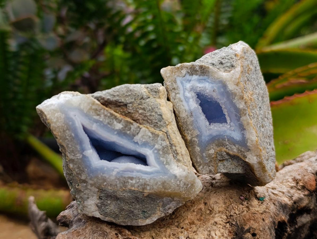 Natural Blue Lace Agate Geode Specimens x 12 From Nsanje, Malawi - Toprock Gemstones and Minerals 