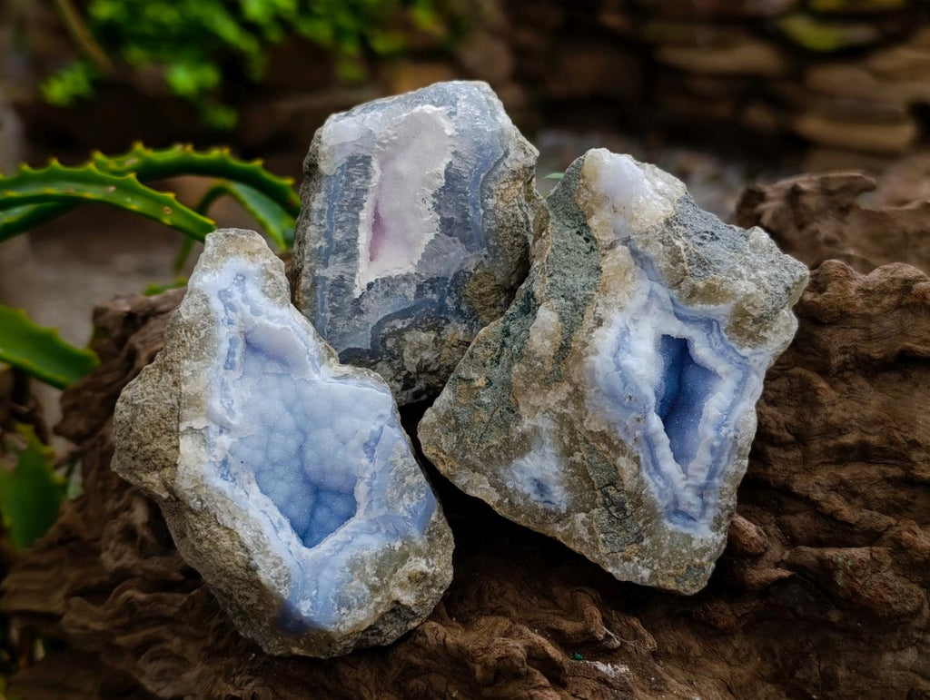 Natural Blue Lace Agate Geode Specimens x 12 From Nsanje, Malawi - Toprock Gemstones and Minerals 