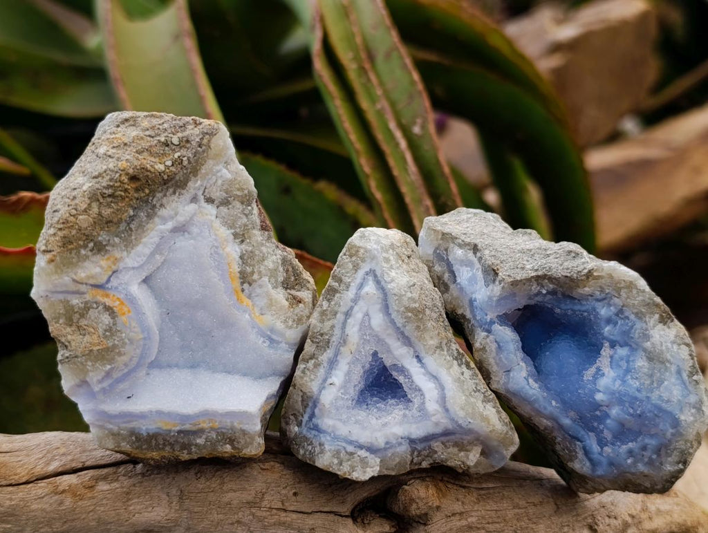 Natural Blue Lace Agate Geode Specimens x 12 From Nsanje, Malawi - Toprock Gemstones and Minerals 