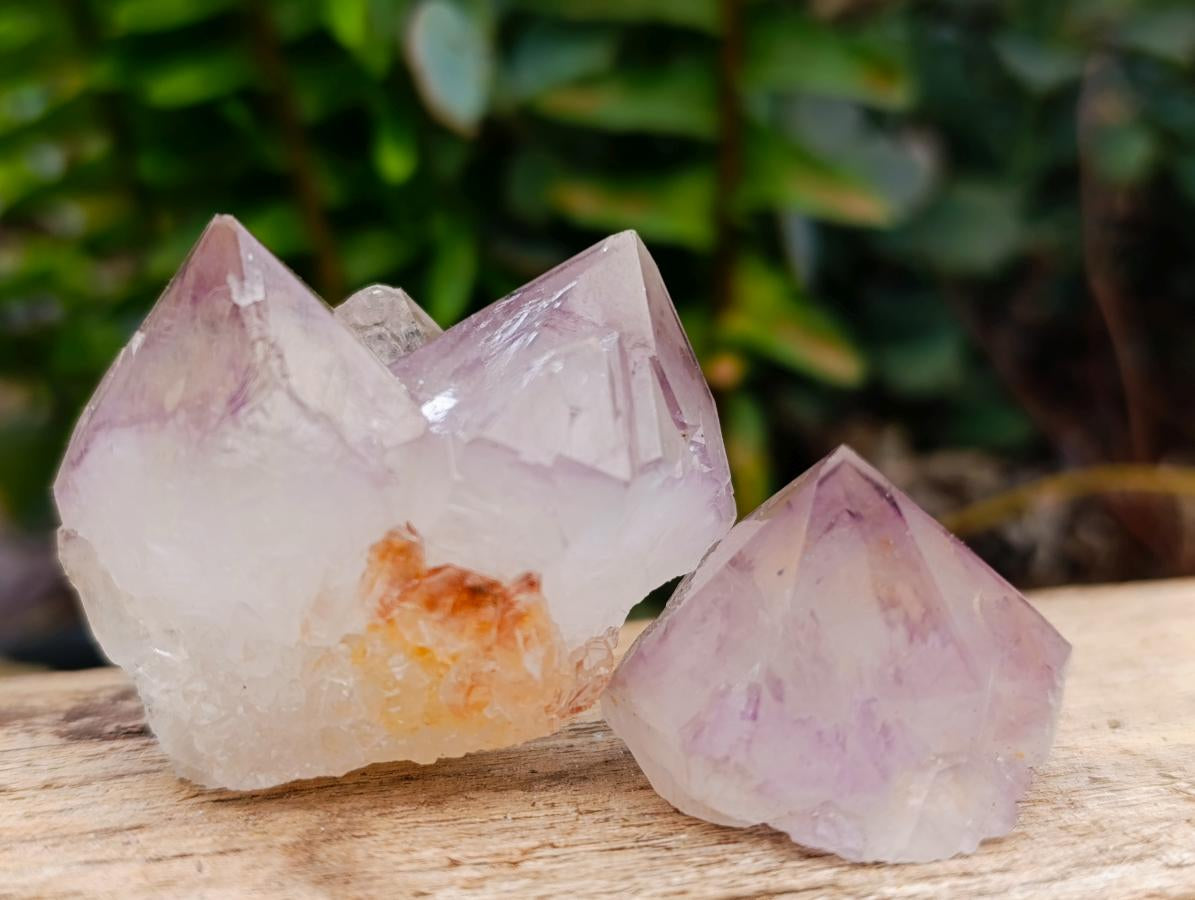 Natural Sunburst Spirit Amethyst Crystals x 35 From Boekenhouthoek, South Africa - Toprock Gemstones and Minerals 