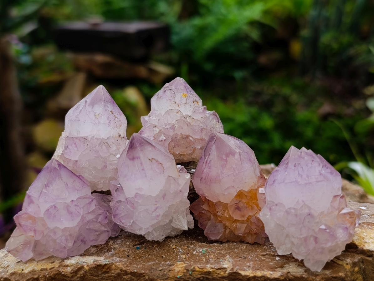 Natural Sunburst Spirit Amethyst Crystals x 35 From Boekenhouthoek, South Africa - Toprock Gemstones and Minerals 