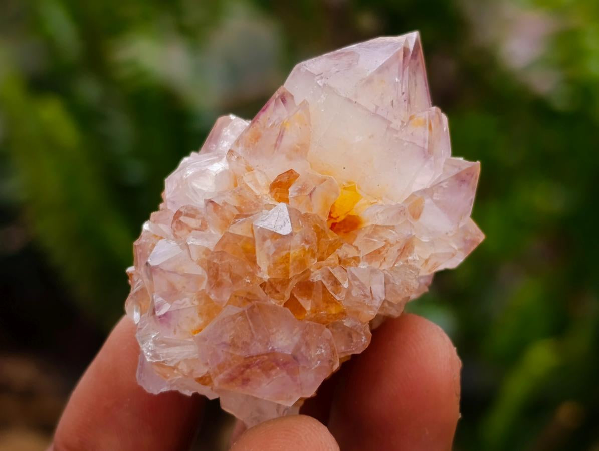 Natural Sunburst Spirit Amethyst Crystals x 35 From Boekenhouthoek, South Africa - Toprock Gemstones and Minerals 