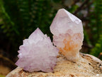 Natural Sunburst Spirit Amethyst Crystals x 35 From Boekenhouthoek, South Africa - Toprock Gemstones and Minerals 
