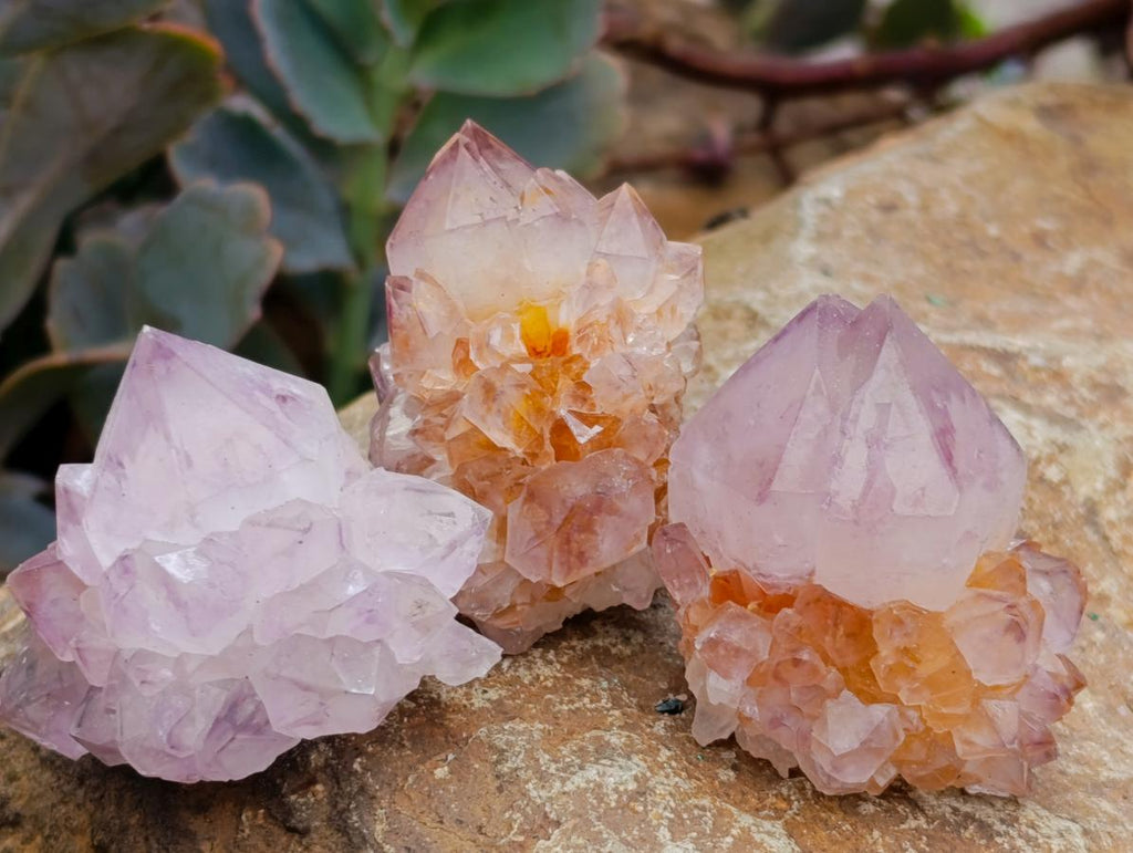 Natural Sunburst Spirit Amethyst Crystals x 35 From Boekenhouthoek, South Africa - Toprock Gemstones and Minerals 