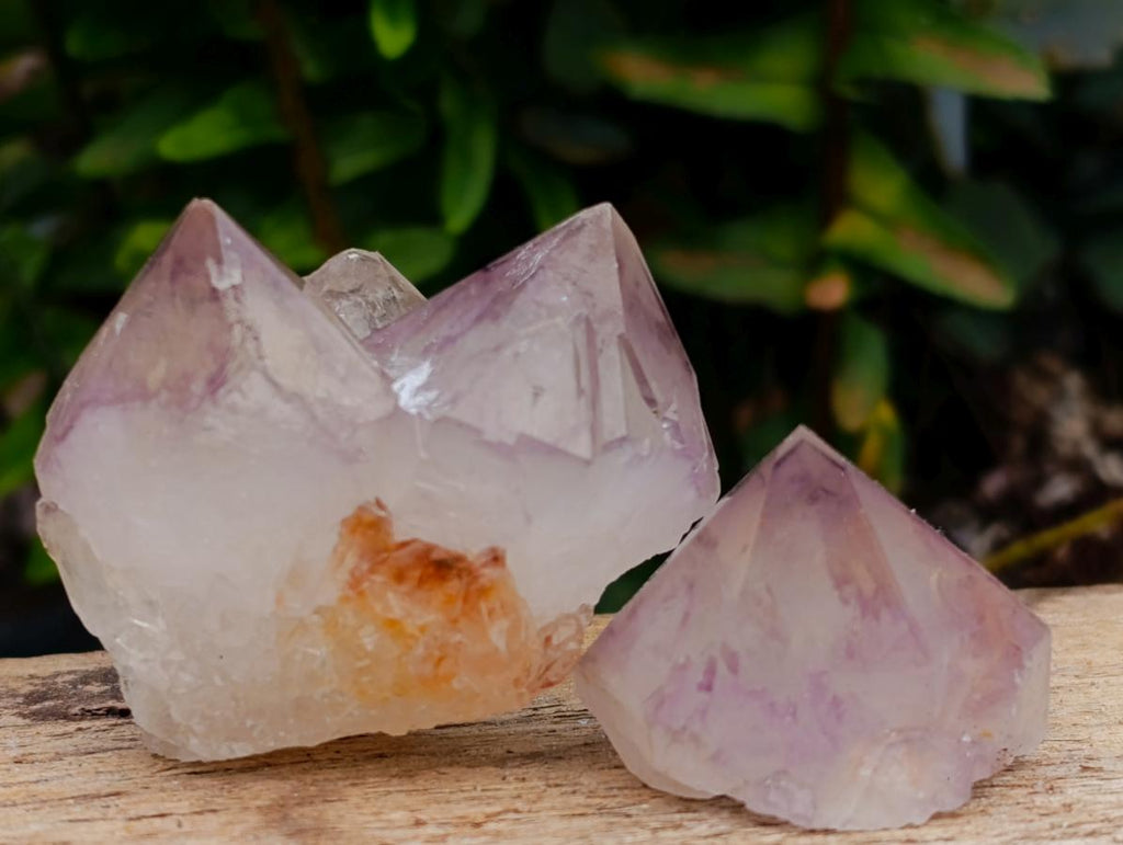 Natural Sunburst Spirit Amethyst Crystals x 35 From Boekenhouthoek, South Africa - Toprock Gemstones and Minerals 