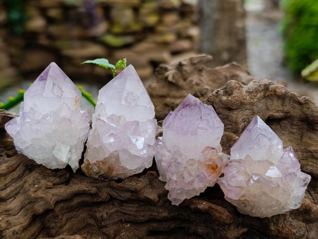 Natural Sunburst Spirit Amethyst Crystals x 35 From Boekenhouthoek, South Africa - Toprock Gemstones and Minerals 