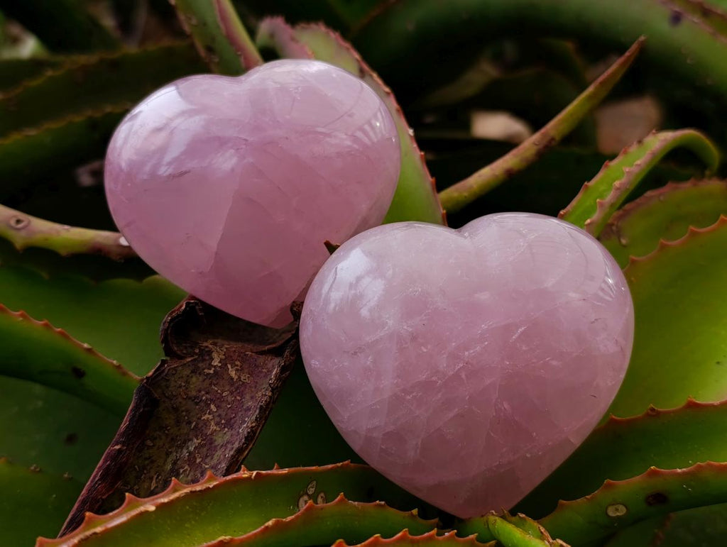 Polished Large Gemmy Rose Quartz Hearts x 6 From Madagascar - Toprock Gemstones and Minerals 