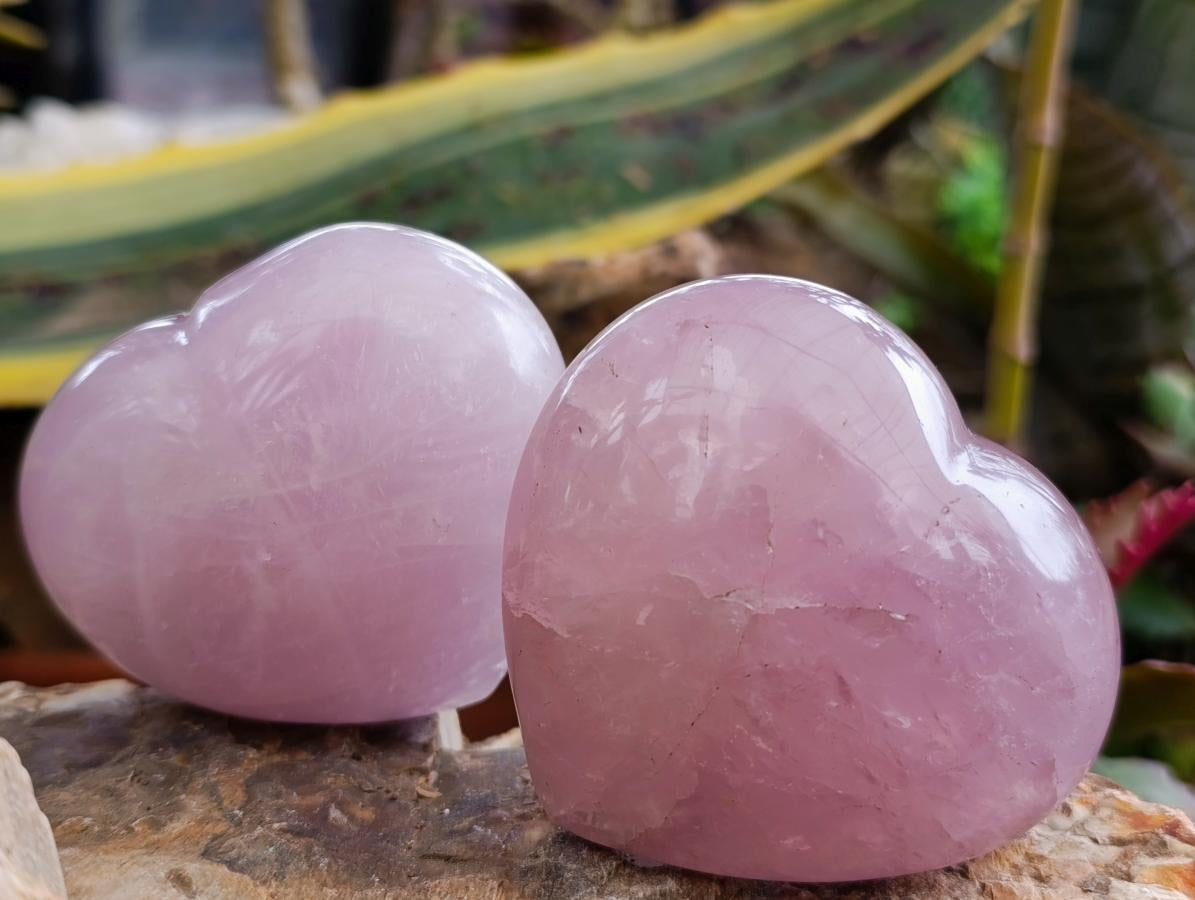 Polished Large Gemmy Rose Quartz Hearts x 6 From Madagascar - Toprock Gemstones and Minerals 