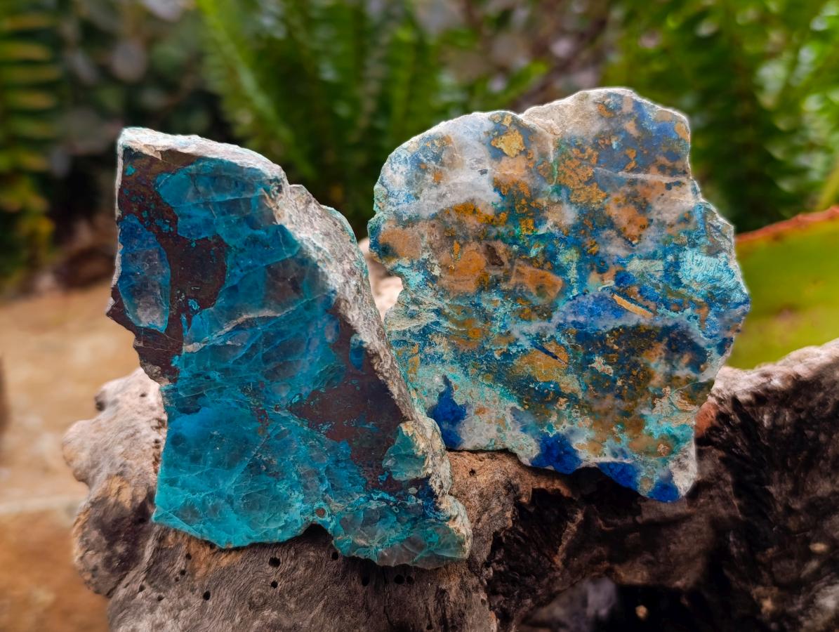 Polished One Side Shattuckite Free Forms x 12 From Kaokoveld, Namibia - Toprock Gemstones and Minerals 