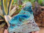 Polished One Side Shattuckite Free Forms x 12 From Kaokoveld, Namibia - Toprock Gemstones and Minerals 